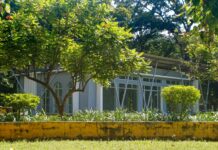 Holland Park London: Discover Hidden Gems and Secret Attractions