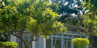 Holland Park London: Discover Hidden Gems and Secret Attractions