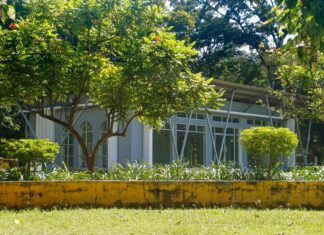 Holland Park London: Discover Hidden Gems and Secret Attractions