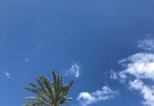 Air Fryer London Broil Secrets: How To Cook Perfectly Juicy Steak