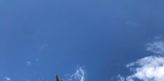 Air Fryer London Broil Secrets: How To Cook Perfectly Juicy Steak