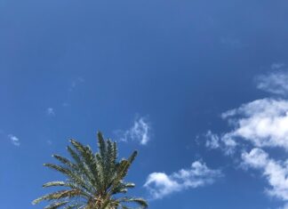 Air Fryer London Broil Secrets: How To Cook Perfectly Juicy Steak