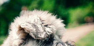 Yardley London Soap Secrets: Why Is It Loved Across Britain?