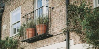 St John’s Wood London UK: Discover Hidden Gems and Local Secrets