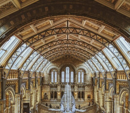 London Lee Excogi: Discover The Untold Secrets Behind The Name