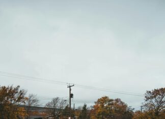 DVLA Driving License Crackdown: Are You At Risk of Penalties?