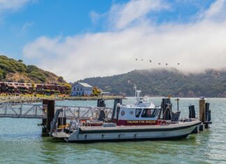 Cullercoats Bay Emergency Services: How They Ensure Your Safety