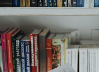 Mobland Episodes: Discover The Secrets Behind Each Thrilling Story