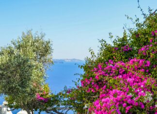 Santorini Greece Earthquakes: What You Need To Know About Safety