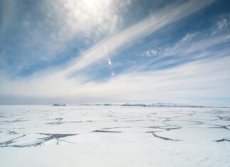 Polar Vortex Collapse: What Weather Forecasts Mean for You