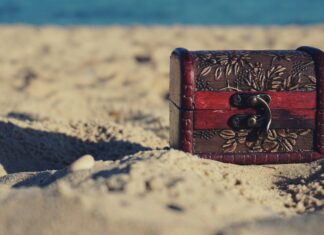 Canadian Robotic Discovery Unveils Secrets of Ocean Phytoplankton