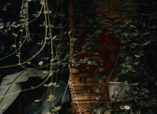 Grow A Garden Stock: Discover Secrets for Thriving Plants Today