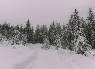 UK Snow Blizzard February: How to Prepare for the Unexpected