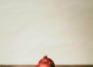 Ludwig Season 2: What Surprises Await Fans This Time Around?