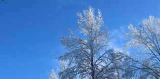 UK Weather: Snow Maps Reveal The Impact Of The Arctic Blast