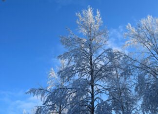 UK Weather: Snow Maps Reveal The Impact Of The Arctic Blast