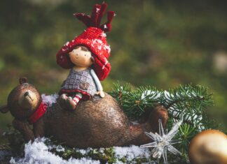 Celebrity Bear Hunt: Why Are Stars Chasing Controversial Trends?