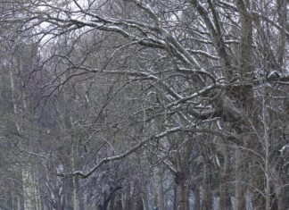 UK Snow Storms Are Forecasted Late January: Are You Prepared?