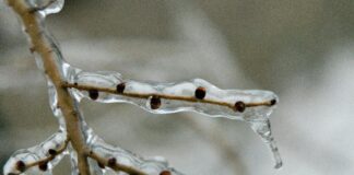 UK Rare Weather Phenomenon: What Is Freezing Rain and Why It Matters?