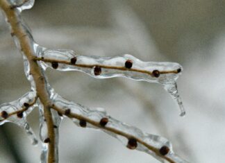 UK Rare Weather Phenomenon: What Is Freezing Rain and Why It Matters?