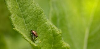 Day Of The Jackal Season 2: What Surprises Await Fans?