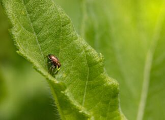 Day Of The Jackal Season 2: What Surprises Await Fans?