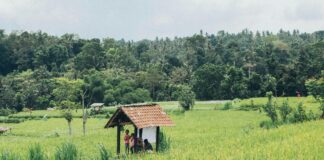 Paddy McGuinness Children In Need: What Surprising Moments Unfolded?