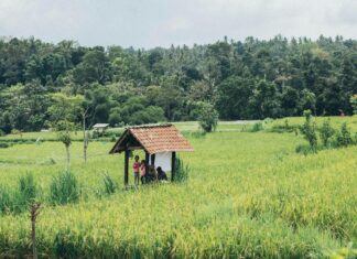 Paddy McGuinness Children In Need: What Surprising Moments Unfolded?