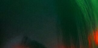 Out There: Discover The Intriguing Episodes That Captivate