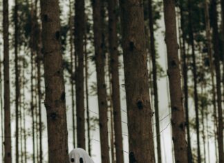 Ghost of Yotei: Discover The Enigmatic Legend Behind The Mountain