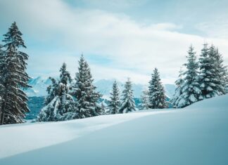 Supermarket Snow Panic Buying: How to Prepare and Stay Calm