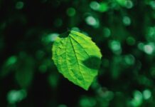 Jurassic World Rebirth Reviews: What Critics Are Really Saying?