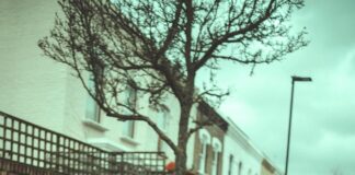 Amazon Freevee UK Shutdown Date: What It Means for Viewers?