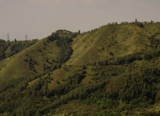 Hill Dickinson Stadium: Discover the Ultimate Venue Experience