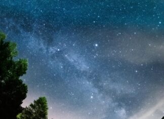 Newcastle Vs Bromley: Who Will Dominate in This Thrilling Clash?