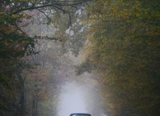 Driving Licence Changes 2025: What You Need to Know Now!