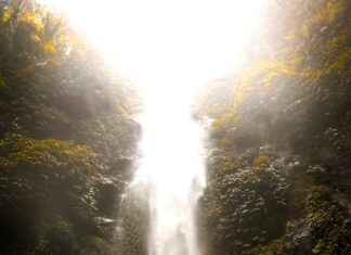 Iryna Zarutska: Discover The Secrets Behind Her Inspiring Journey