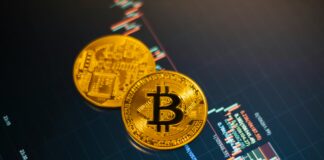 PR1 Share Price: What Influences Its Rise and Fall?