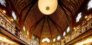 Cast Of My Oxford Year: Who Are The Talented Stars Behind It?