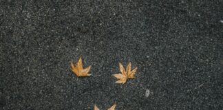 Alex Warren Ordinary Journey: What Makes Him Stand Out Today?