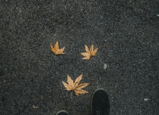 Alex Warren Ordinary Journey: What Makes Him Stand Out Today?