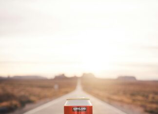 Paddington 3 Showtimes: Discover When You Can Catch the Adventure!