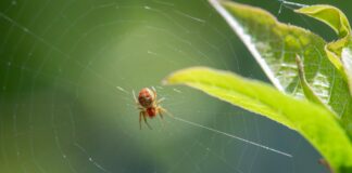 The Day Of The Jackal Season 2: What Surprises Await Fans?