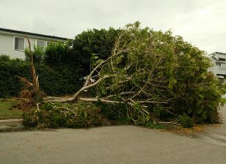 Cyclone Alfred: What You Need to Know About Its Impact Today