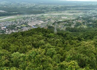 Nottingham Forest Vs Ipswich Town Stats: Who Dominates the Clash?