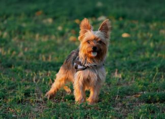 Alan Reet: Discover The Secrets Behind His Incredible Success