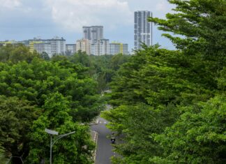Exeter City Vs Nottm Forest: Who Will Claim Victory This Time?