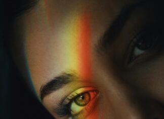 Prismatic Evolution: Discover How It Transforms Our Understanding