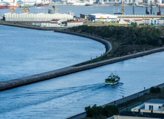 Simpsons Leaving Channel 4: What This Means For Fans Everywhere