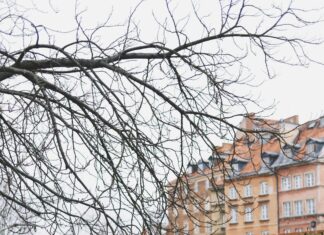 Legia Warszawa Vs Chelsea: Who Will Dominate the Epic Clash?